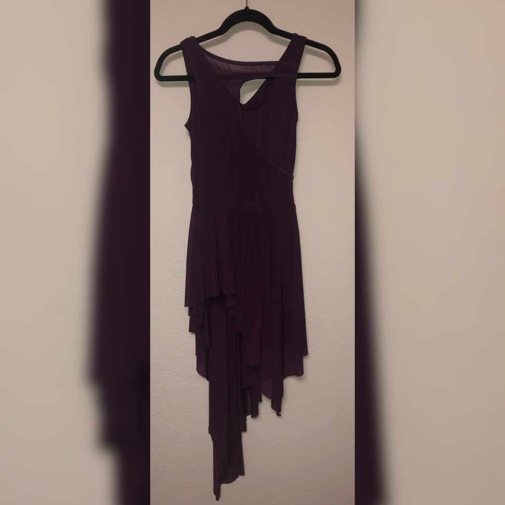 Plum Dress Lyrical Costume